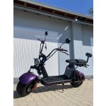 EcoWheel GR40 1500W 20Ah fialová – Sleviste.cz