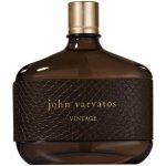 John Varvatos Vintage toaletní voda pánská 125 ml – Hledejceny.cz