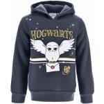 Mikina Harry Potter Hedvika šedá – Zboží Dáma