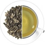 Oxalis Green Snail Zelený šnek 70 g – Sleviste.cz