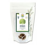 Salvia Paradise Andělika lékařská kořen 1 kg – Zboží Mobilmania