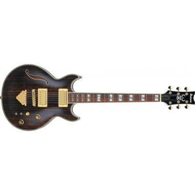 Ibanez AR520HME-NT – Hledejceny.cz