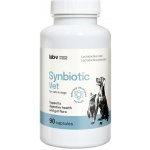 LAB-V Synbiotic Vet Podpora zdraví trávicího traktu a střevní mikroflóry pro psy a kočky 90 kapslí – Hledejceny.cz