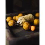Giants Fishing Pva Punčocha + Pěchovač System Micromesh 8 m 25 mm – Zboží Dáma
