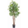 Květina Umělý strom Aralia Ming Nitida, 160cm