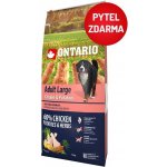 Ontario Adult Large Chicken & Potatoes 12 kg – Hledejceny.cz