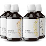 Zinzino BalanceOil+ Vanilla 300 ml – Hledejceny.cz