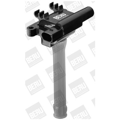 Zapalovací cívka BorgWarner (BERU) ZS502 – Hledejceny.cz