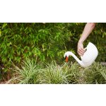 Esschert Design Labuť Swan Lake 2L bílá – Zboží Mobilmania