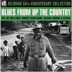Various - Delmark 50th Anniversary Collection Blues From Up The Country CD – Hledejceny.cz