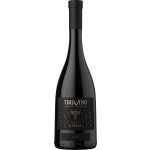 Tbilvino Saperavi 2024 Červené 13% 0,75 l (holá láhev) – Hledejceny.cz