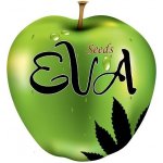 Eva Seeds Jamaican Dream semena neobsahují THC 6 ks – Sleviste.cz