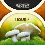 Albi Vědomostní pexeso Houby – Hledejceny.cz