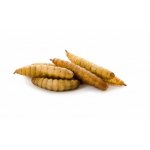 JK ANIMALS Black Soldier Fly 80 g – Zboží Dáma