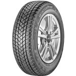 GT Radial WinterPro 2 205/55 R16 91H – Hledejceny.cz
