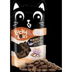 Lucky Lou Lucky Ones Krunchy Krisps Kuře a losos 60 g – Hledejceny.cz