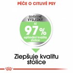 Royal Canin Maxi Digestive Care 10 kg – Hledejceny.cz