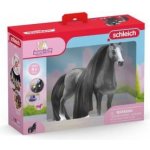 Schleich 42620 Výstavní klisna plemene Quarter Horse – Sleviste.cz