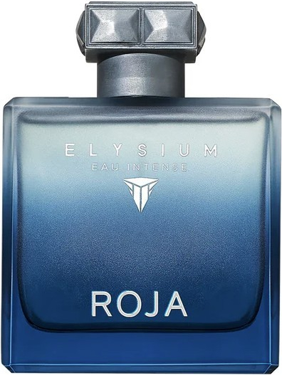 Roja Elysium Eau Intense parfémovaná voda pánská 100 ml