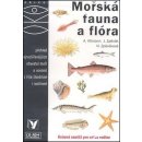 OKO Mořská fauna a flóra