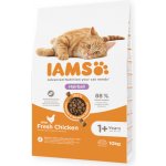 Iams Cat Adult Hairball Chicken 10 kg – Zboží Mobilmania