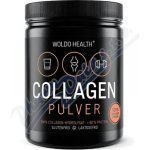 WoldoHealth Kolagen kyselina hyaluronová biotin 500 g – Zboží Dáma