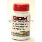 Giom Chondro L-karnitin Forte 60 tbl – Hledejceny.cz
