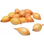 Cibule sazečka ozimá Augusta váha: 100g – Zboží Dáma