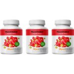 MycoMedica MycoCholest 3 x 120 kapslí – Hledejceny.cz