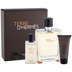 Hermès Terre D'Hermes toaletní voda pánská 100 ml