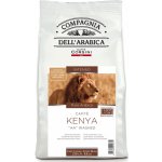 Corsini Caffé Kenya zrnková 250 g – Hledejceny.cz