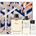 Hermés Terre D´Hermès pro muže EDT 100 ml + sprchový gel 80 ml + voda po holení 40 ml dárková sada – Hledejceny.cz