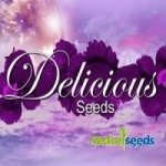 Delicious Seeds Delimed CBD Plus semena neobsahují THC 3 ks – Zboží Dáma