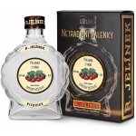 R. Jelínek Pálenka z Višní 42% 0,2 l (karton) – Zboží Mobilmania