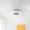 Stropní ventilátor Leuchten Direkt LD 14645-55