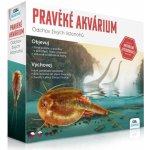ALBI Pravěké akvárium experimentální vědecký set odchov živých listonohů – Hledejceny.cz