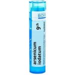 ARSENICUM IODATUM POR 9CH GRA 1X4G – Hledejceny.cz
