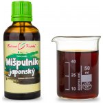 Bylinné kapky Pavlovy Mišpulník japonský TCM tinktura 50 ml – Hledejceny.cz