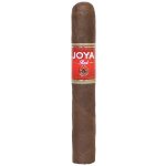 Joya de Nicaragua Red Robusto – Hledejceny.cz