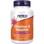 Now Foods Cholin & Inositol 500 mg x 100 kapslí – Hledejceny.cz