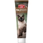 Perfecto Cat maltózová pasta se sýrem 100 g – Hledejceny.cz