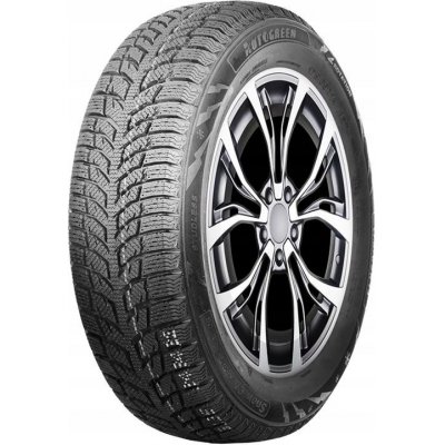 Autogreen Snow Chaser 2 AW08 205/50 R17 93H