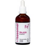 Vitasomal Železo kapky 100 ml – Hledejceny.cz