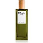 Loewe Esencia parfémovaná voda pánská 50 ml – Hledejceny.cz
