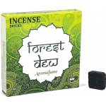 Nefertitis Vonné cihličky Aromafume Forest Dew 40 g 9 ks – Hledejceny.cz