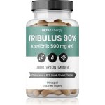 MOVit Tribulus 90% Kotvičník 500 mg 4v1 90 kapslí – Zboží Mobilmania