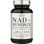 NAD+ Synergy 40 kapslí – Hledejceny.cz