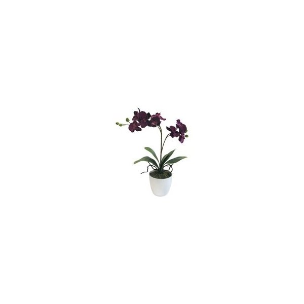 Květina Orchidej 65cm x2 fialová (bez květináče) - Gasper