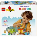 LEGO® DUPLO® 10419 Péče o včelky a úly – Hledejceny.cz