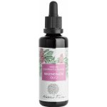 Nobilis Tilia Obličejový regenereční olej Arteris 50 ml – Hledejceny.cz